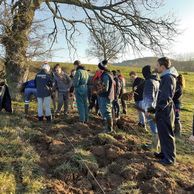 Plantation de haies