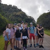 Ile de la Réunion - Forêt de Béboure