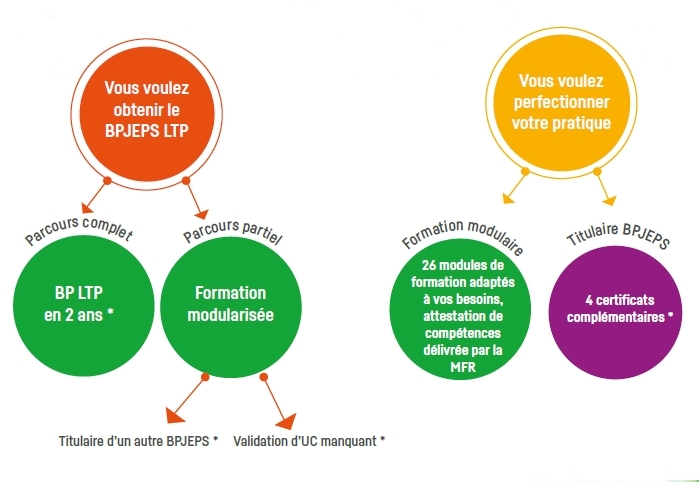 bpjeps ltp choix du parcours