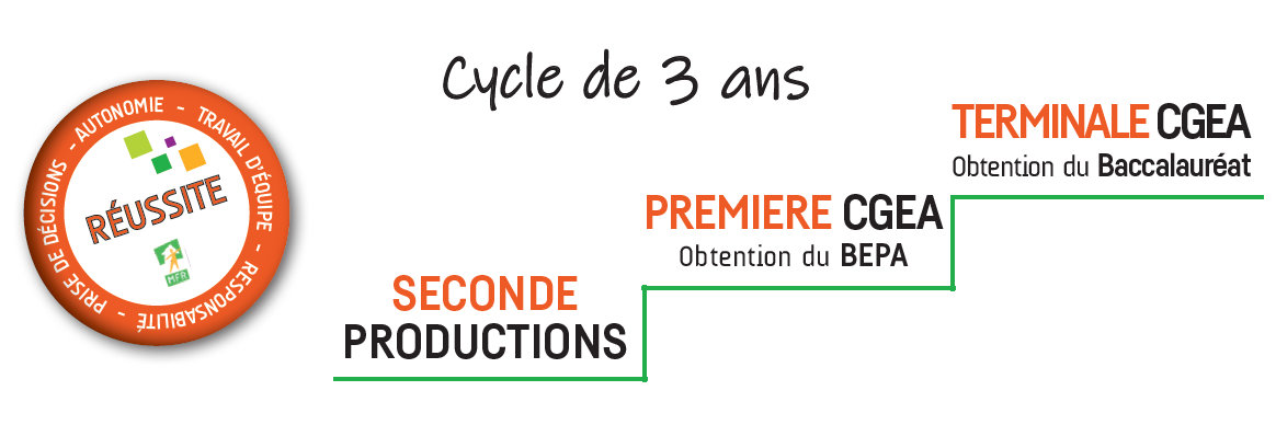 Cycle 3 Ans